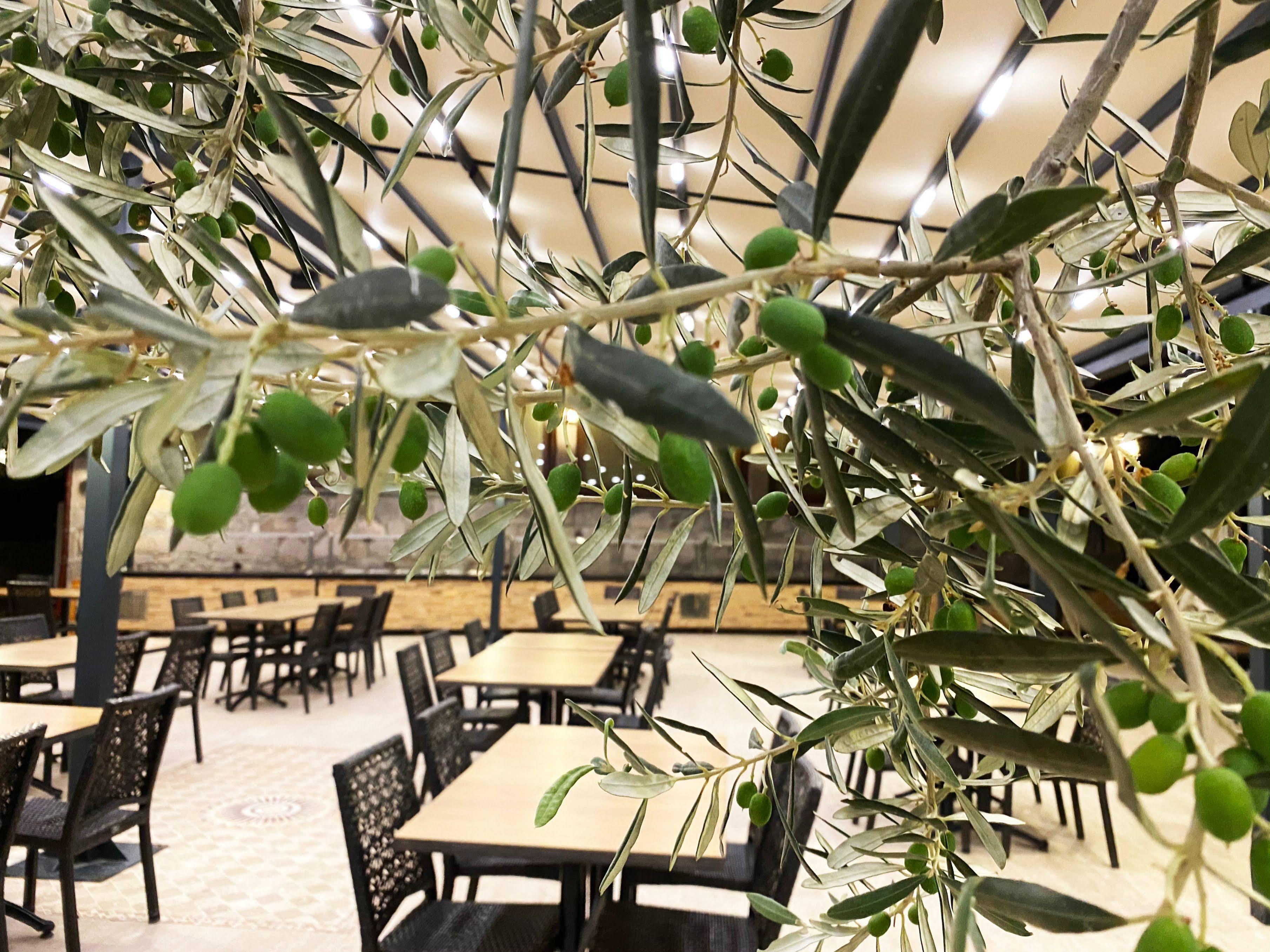 Assos Park Hotel 외부 사진